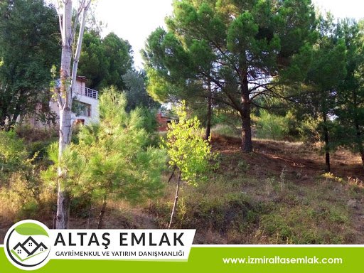 Altaş Emlak Kemalpaşa