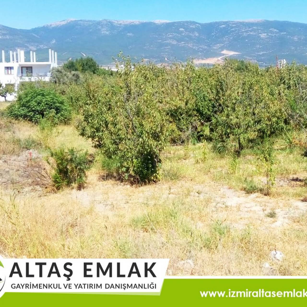 Altaş Emlak Kemalpaşa